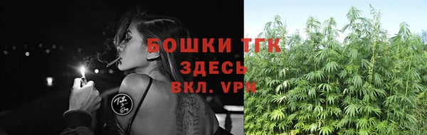 дурь Новодвинск