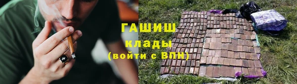 ECSTASY Новозыбков