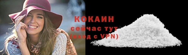 ECSTASY Новозыбков