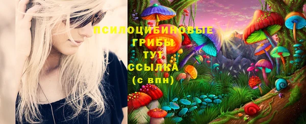 дурь Новодвинск