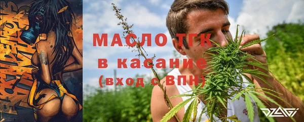 МДПВ Нея