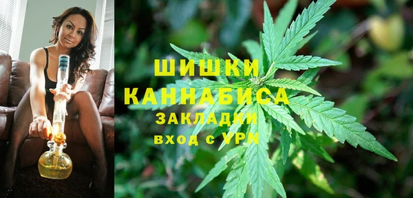 ECSTASY Новозыбков