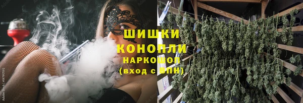 дурь Новодвинск