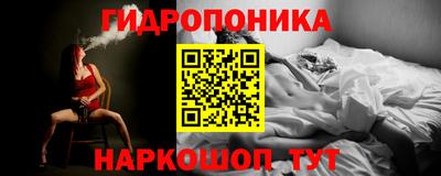 стаф Бийск