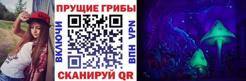 Псилоцибиновые грибы мицелий Боровичи