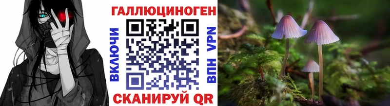 продажа наркотиков  Боровичи  Псилоцибиновые грибы GOLDEN TEACHER 