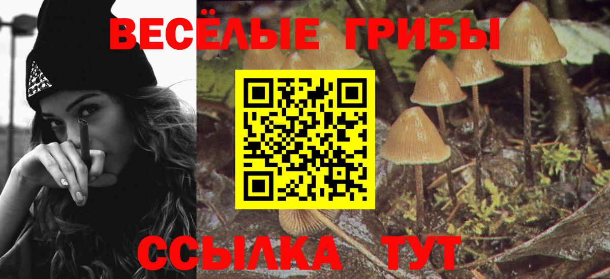 Галлюциногенные грибы ЛСД Боровичи