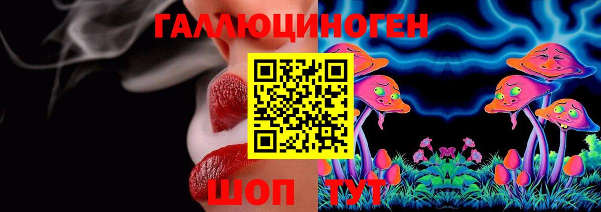 Галлюциногенные грибы Cubensis  Боровичи 